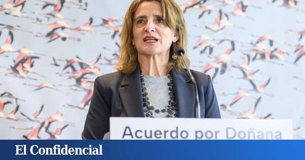 Teresa Ribera incluye en las ayudas de Doñana a los regantes ilegales que se regularicen