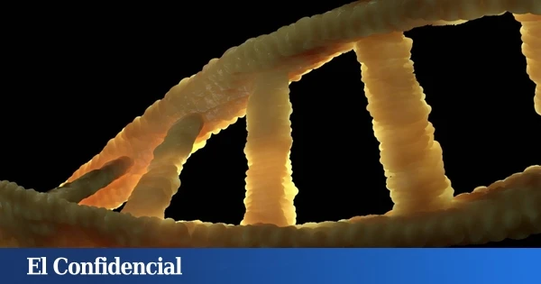 Inyectan un virus en el oído y solucionan un problema que afectaría hasta a 5 de cada 1.000 niños (solo) en España