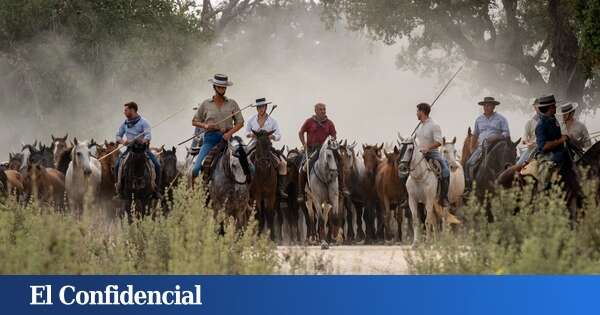 El cambio climático podría provocar la inundación con agua salobre de marismas en Doñana