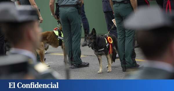 La Guardia Civil condecora al perro que detectó 800 kg de cocaína en Puerto de Barcelona