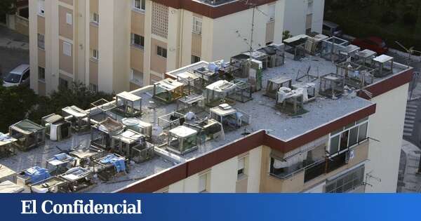 Un detenido tras la muerte del hombre hallado con un disparo en el descansillo de un bloque de Málaga