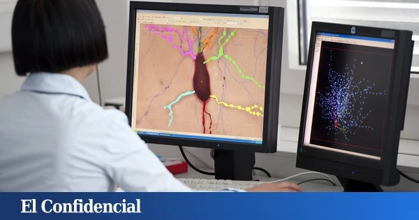 Descubren una molécula capaz de revertir el envejecimiento del cerebro