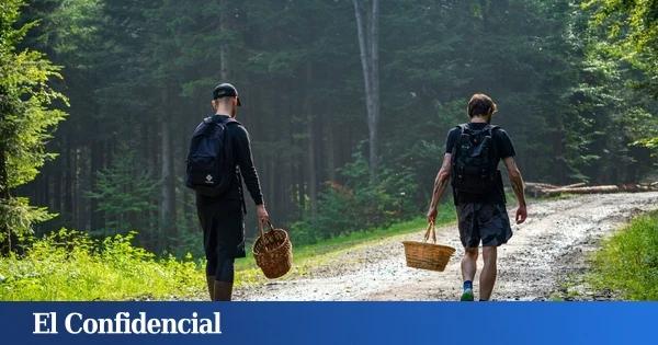 El valle extremeño poco conocido que se llena de setas en otoño y conquista a los amantes de la naturaleza