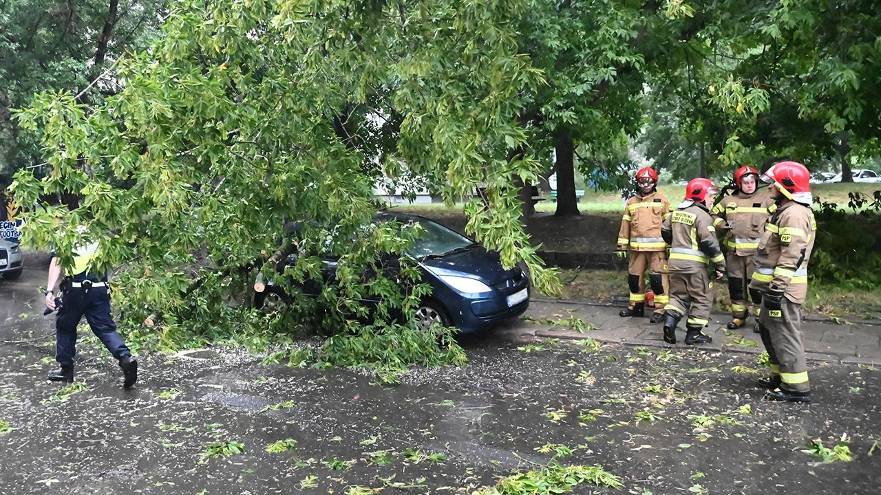 Szczecin i okolice po wichurze. Powalone drzewa, uszkodzone auta i korki