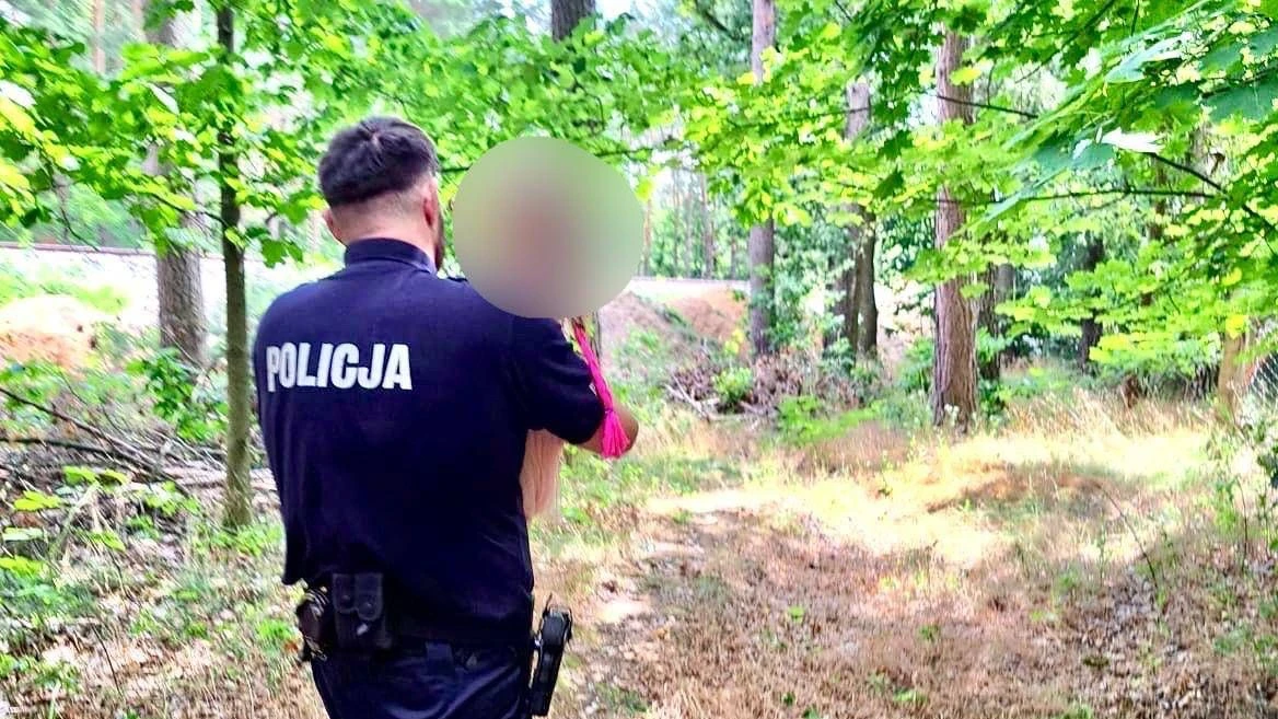 Czteroletnia dziewczynka zaginęła w lesie. Szybka akcja policjantów