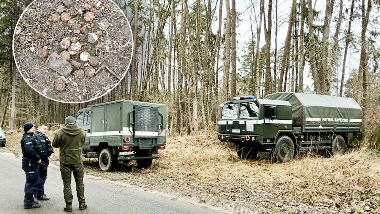 Dzicy saperzy. Zwierzęta dokonały niebezpiecznego odkrycia