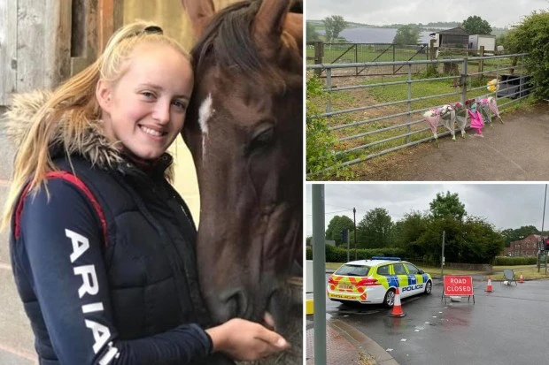 Horse rider killed in field had stalker & filed restraining order, says pal