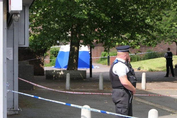 Man, 19, stabbed to death on south London street as cops launch murder probe