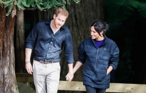Meghan is 'walking the dogs' with baby Lilibet while Harry 'picks veges'