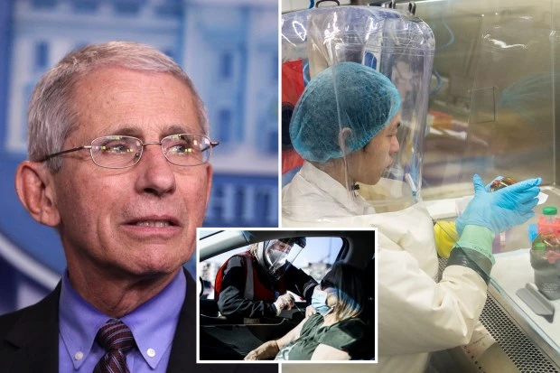 Fauci says his critics are 'criticizing SCIENCE' & fumes at Hitler comparisons