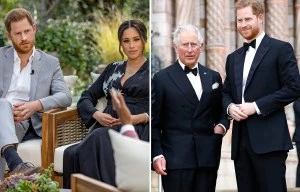 Harry and Meg try to claim they WEREN'T misleading with 'cut off' Oprah claims