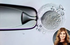 Free IVF is not answer to gender pay gap - don't put off kids for sake of job