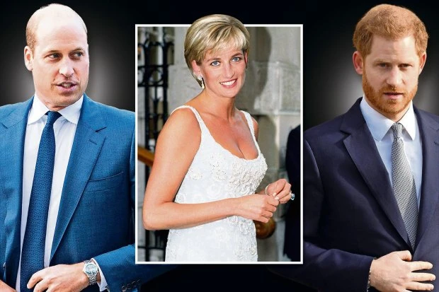 Kate 'helping Prince William and Harry put on united front at Diana reunion'