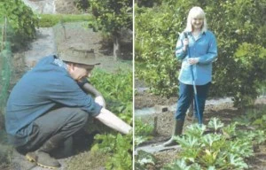 Couple die in suicide pact as they 'didn't want to go without each other'