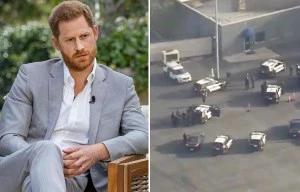 Harry scare as cops chase car on LAX runway just as Duke arrives to fly to UK