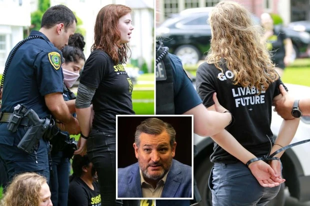 Protesters arrested at Ted Cruz's home after being warned to stay back