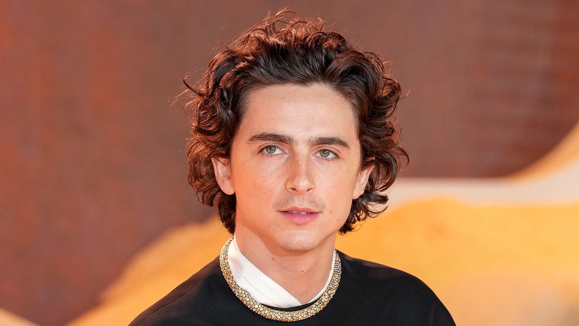 Timothee Chalamet drops huge career news after Dune 2 and Wonka’s record-breaking success as he picks ‘creative home’