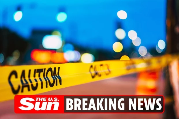 At least four people dead after hot air balloon hit power line in New Mexico