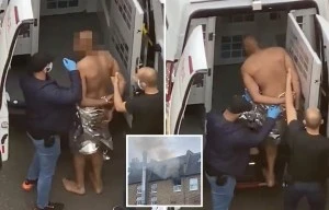 Naked man flees house fire as female cop seriously injured in explosion
