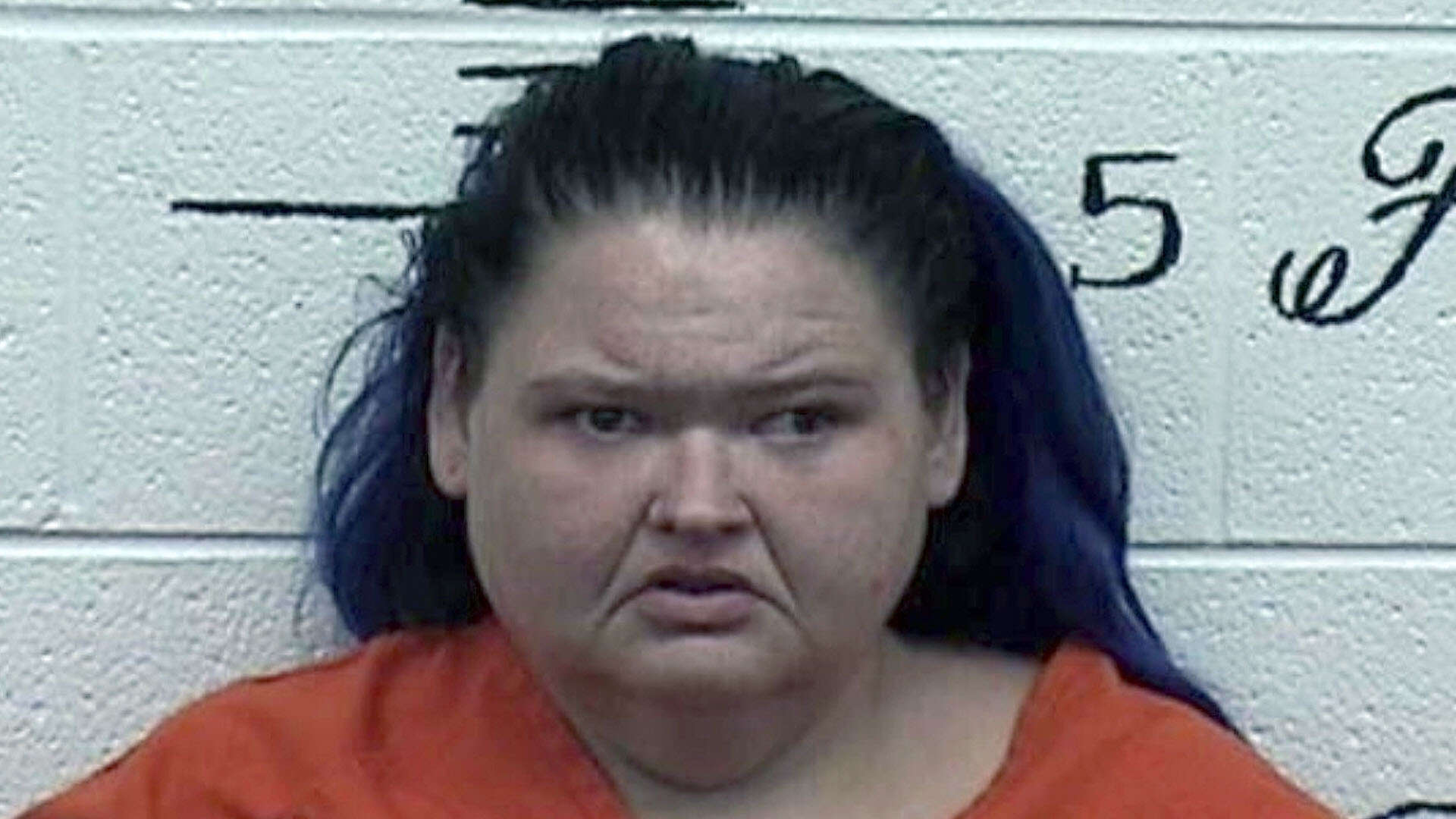 1000-Lb. Sisters star Amy Slaton strikes plea deal & dodges jail time after she’s arrested for ‘having mushrooms at zoo’