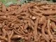 Why Nigeria is Not Yet Sufficient in Cassava Production