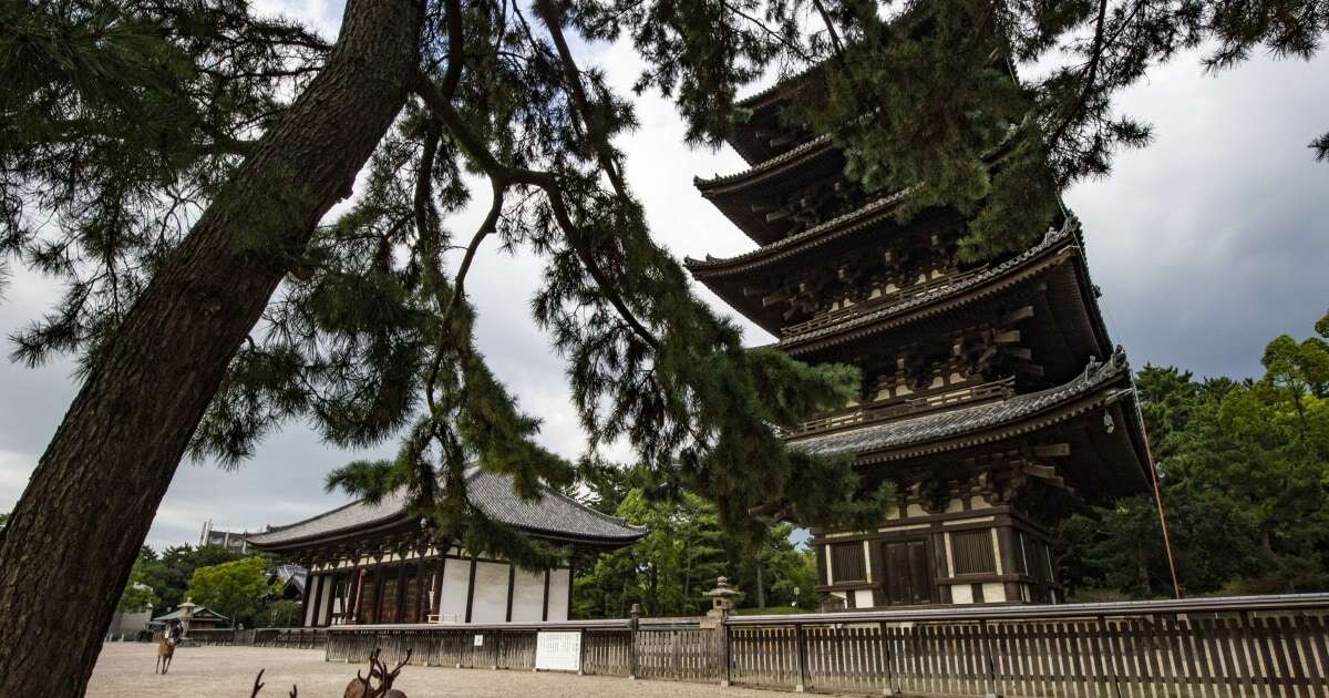 驚愕…！　五重塔の大黒柱は「地面から浮いていた」…だから、大地震でも「倒れない」奈良時代から培われた「超」技術