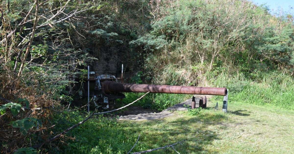 高齢の遺児が泣き声をあげ…硫黄島遺骨収集の「知られざる実態」