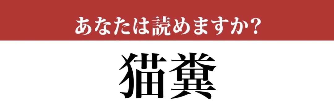 【難読漢字】「猫糞」って読めますか？ 猫のフンではありません！