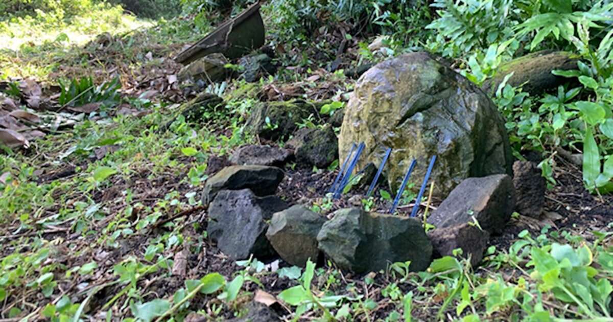 「死なないと、帰れない島なんですよ」祖父を地上戦で亡くした遺児が発した「言葉の意味」