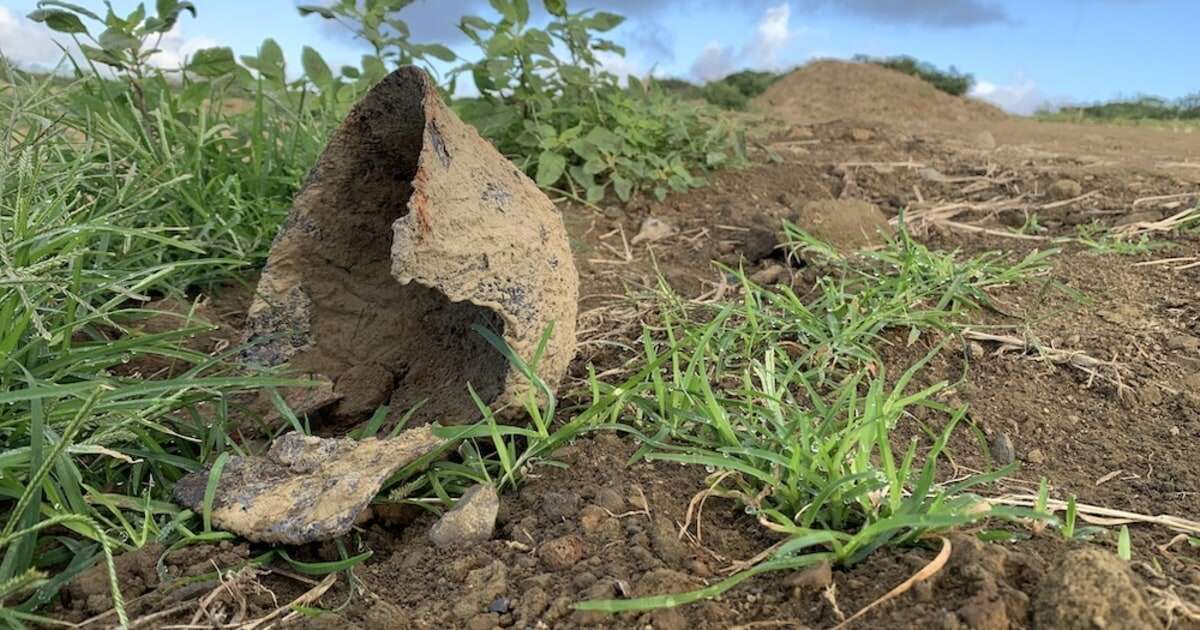 日本兵1万人はどこへ…硫黄島「滑走路下」に多数の遺骨が眠っているのか「ひとつの答え」