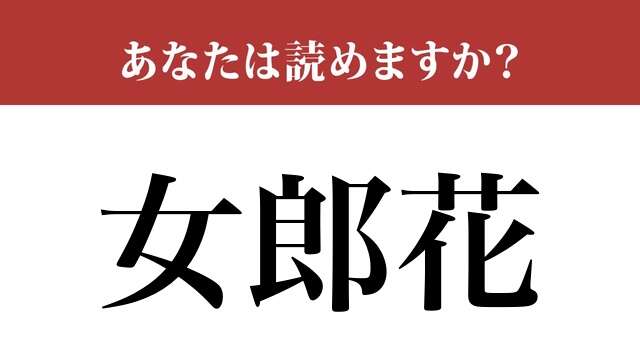 【難読漢字】「女郎花」って読めますか？読めたらすごい！