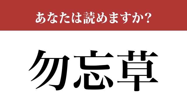 【難読漢字】「勿忘草」って読めますか？ 意外と読めない…