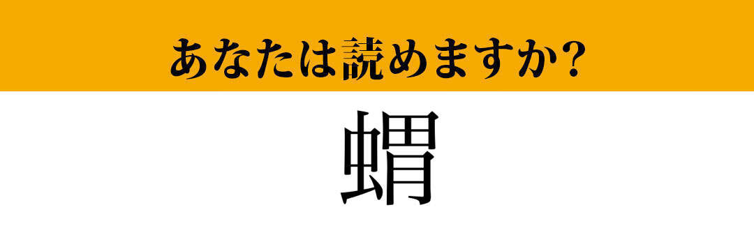 【難読漢字】「蝟」って読めますか？可愛らしい見た目で人気のあの動物です！