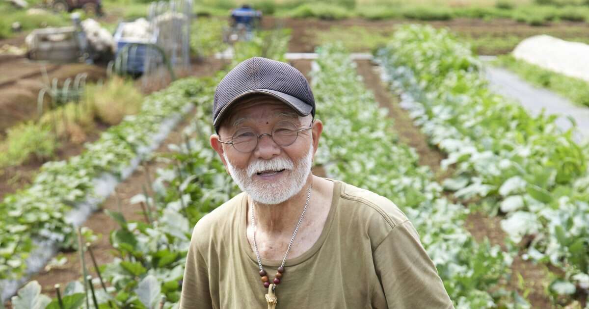 「俺がやってるのは『農業』じゃなくて『道楽』だよ」世界一の野菜畑が千葉にあった…！ミシュラン料理人が慕う80歳「伝説の農家」の挑戦