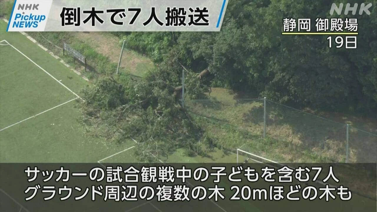 【動画】Pickup NEWS（7月20日）