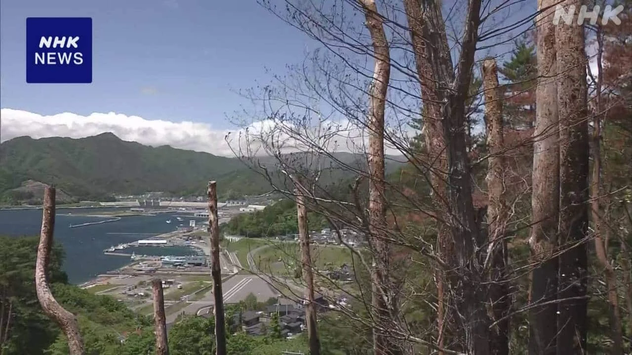岩手 大槌町の山林火災が鎮火 発生から1か月余
