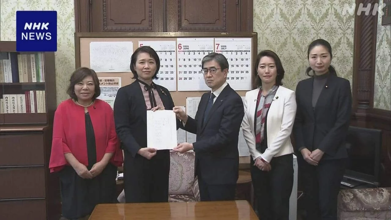 国民 内密出産の制度化へ法案提出“政府が医療機関確保を”