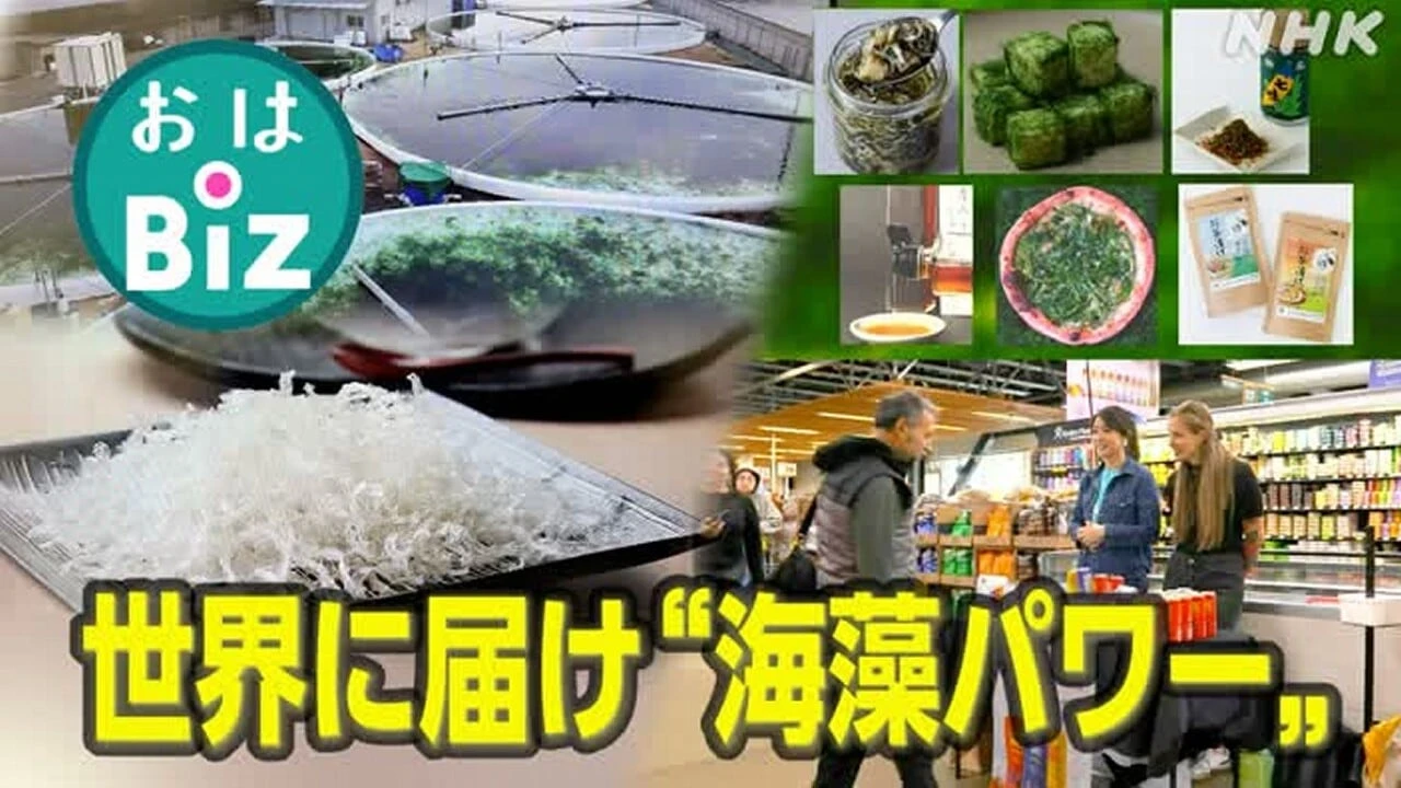 【きょうのおはBiz 10月3日(金)】世界に届け “海藻パワー”