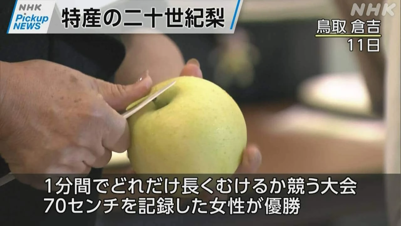 【動画】Pickup NEWS（10月12日）