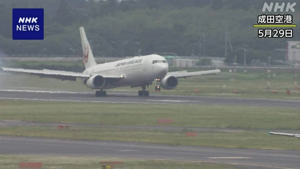 日航機パンク 羽田空港D滑走路 金属板が数センチ浮き出た状態