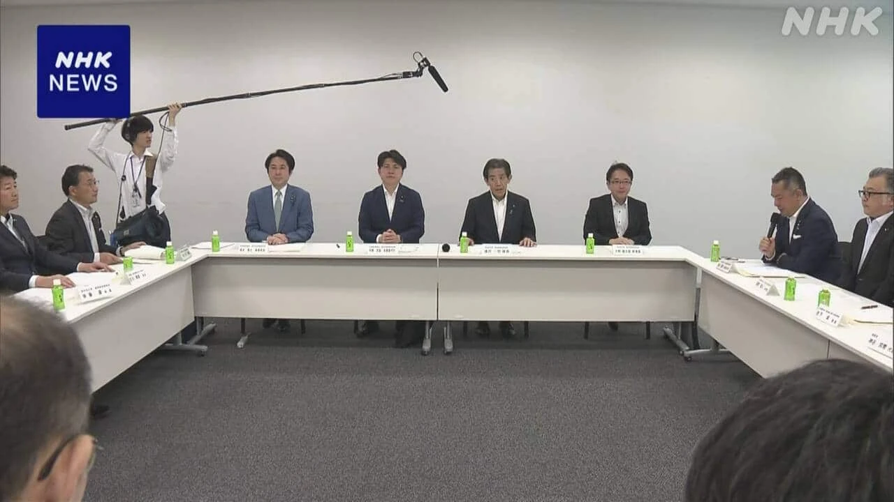 選挙偽情報対策で法改正骨子案 SNS事業者に対策義務づけ