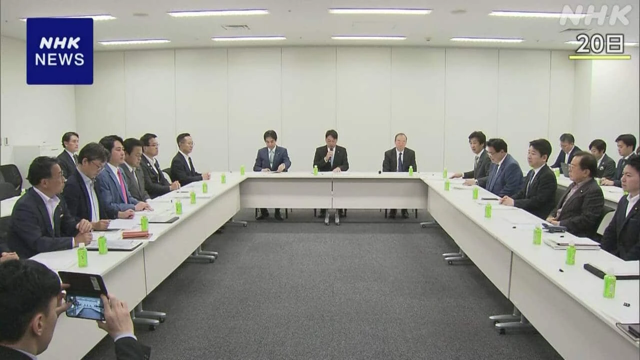給付付き税額控除イメージ案 支援額は個人単位 所得に応じ変動
