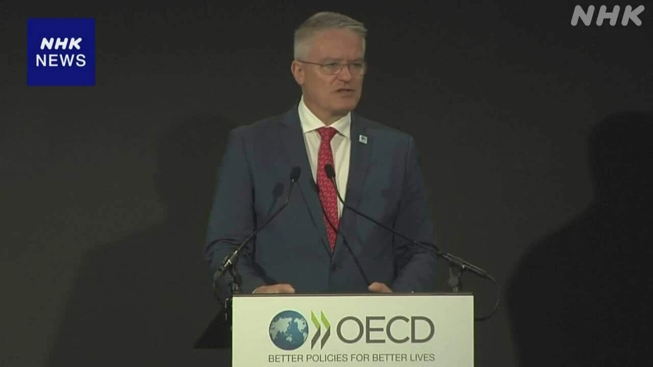 OECD閣僚理事会 閣僚声明 2年連続採択見送り