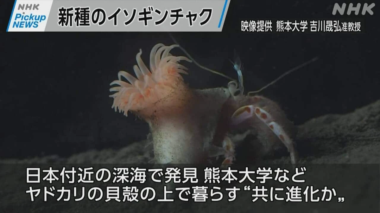 【動画】Pickup NEWS （10月23日）