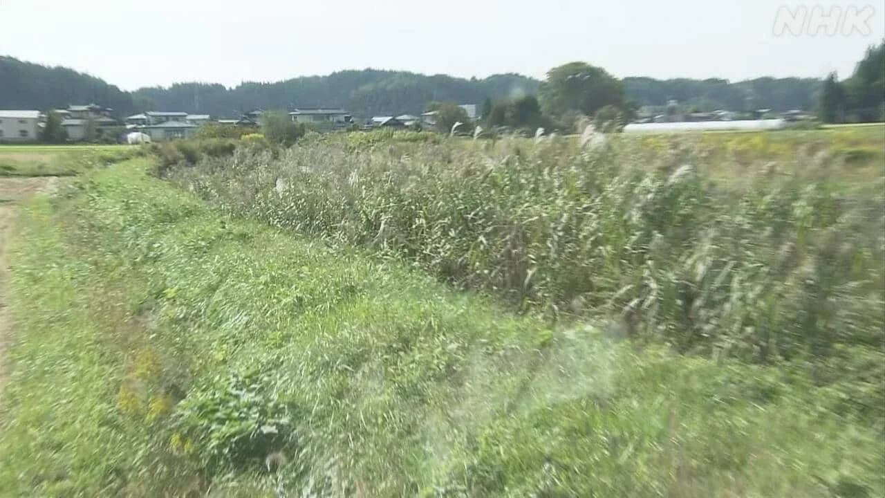 秋田市 クマに男性2人相次ぎ襲われけが ランニングや散歩中に