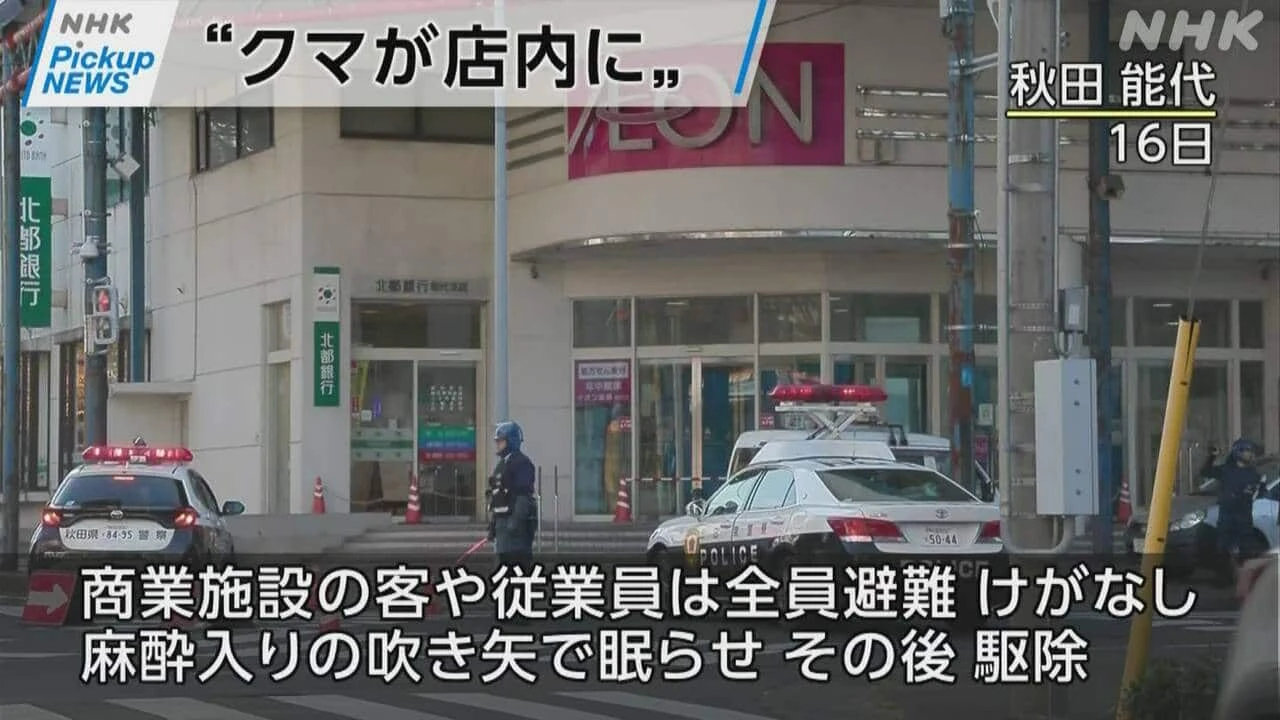 【動画】Pickup NEWS（11月17日）