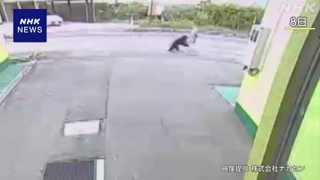 秋田 大仙 散歩中にクマに襲われた80代女性 当時の恐怖語る