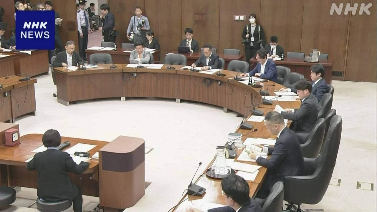 衆議院協議会 定数削減など 29日めどの取りまとめ難しく