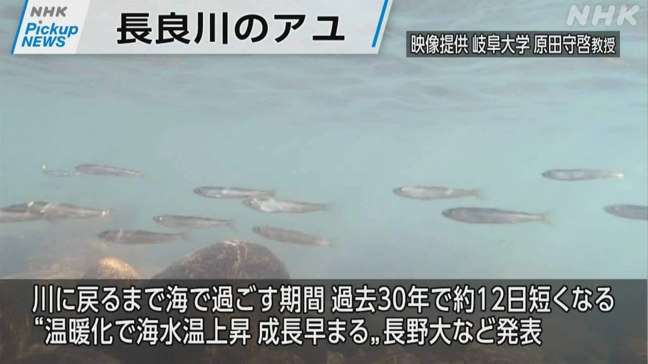 【動画】Pickup NEWS（6月22日）