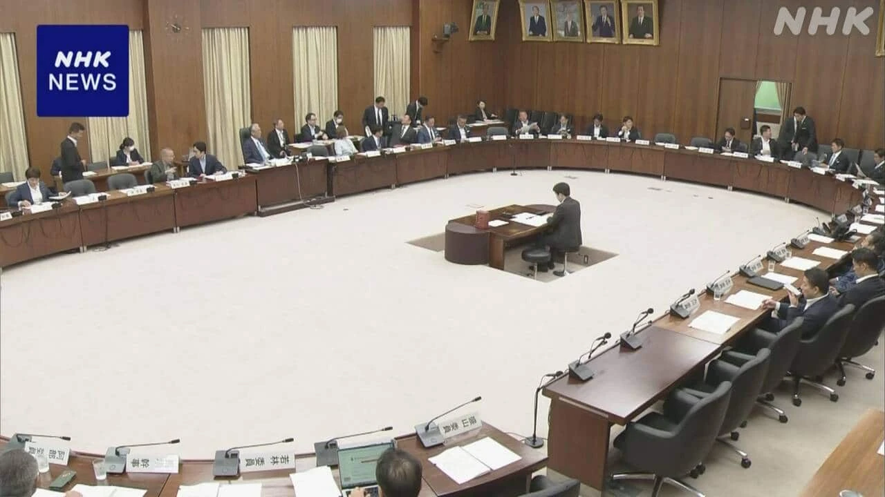 衆議院憲法審査会 緊急事態条項イメージ案もとに2回目の討議